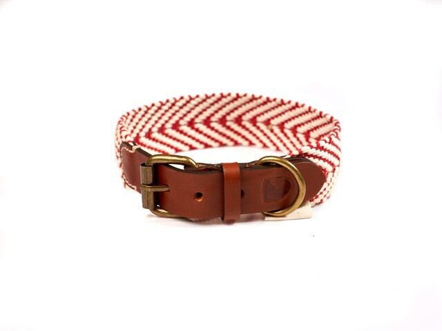 Halsband 'Buddy' Rood